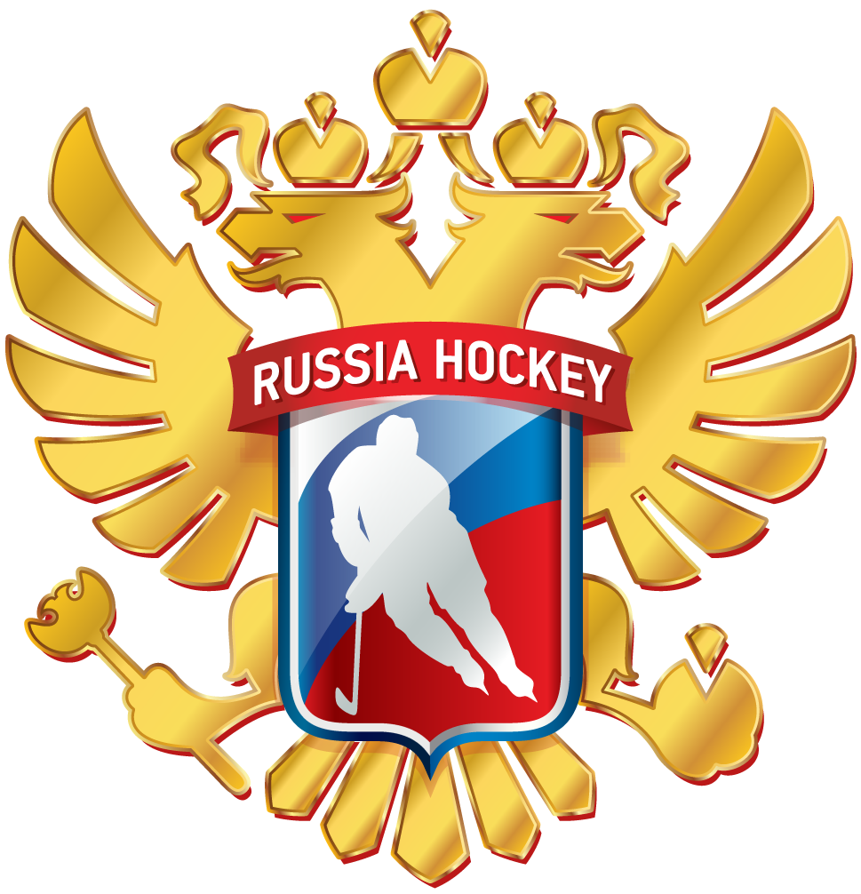 Russia 2016-Pres Alternate Logo v2 iron on heat transfer
